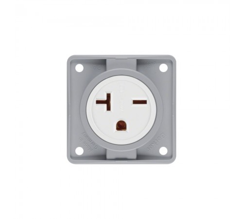 BERKER Integro механізм Розетка USA/CANADA NEMA 6-20R/20А/250В білий/сірий 862542507