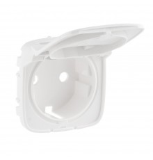Накладка розетки Legrand Valena ALLURE 2К+З з кришкою білий 754845