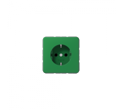 JUNG CD Розетка SCHUKO з захисними шторками зелений CD1520BFKIGN