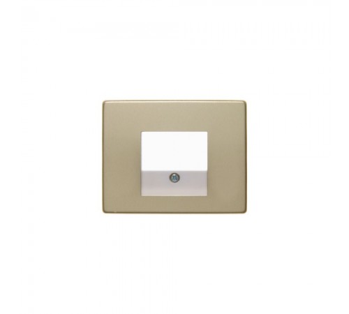 BERKER ARSYS накладка для розеток для гучномовців USB-розеток золотий 10340002