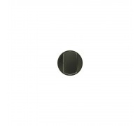 Legrand CELIANE Накладка вимикача Legrand Celiane 67901 графіт 67901