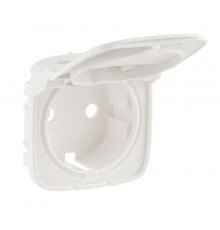 Legrand Valena ALLURE Накладка розетки 2К+З з кришкою Жемчуг Жемчуг 754849