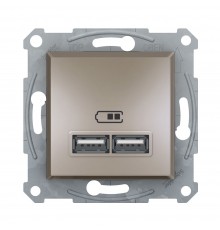Розетка USB Schneider Electric Asfora бронза подвійна внутрішня EPH2700269