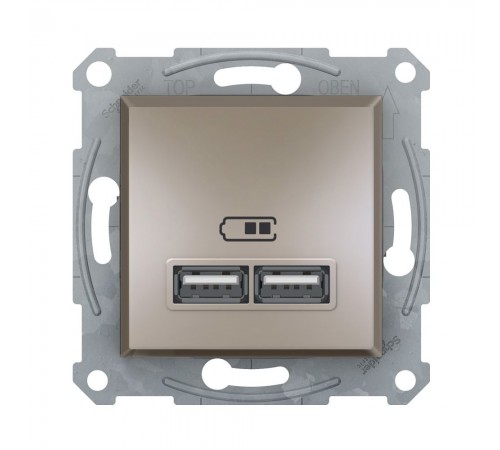 Розетка USB Schneider Electric Asfora бронза подвійна внутрішня EPH2700269