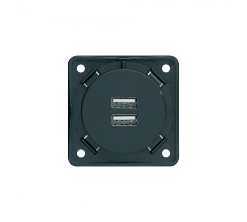 BERKER Integro механізм Розетка 2хUSB 3А/230В антрацит 926102505