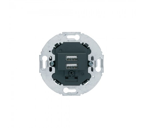 BERKER R.Classic механізм USB-розетка подвійна 230В чорний 260215