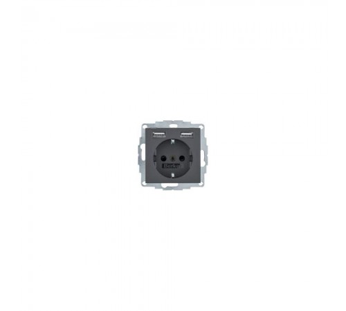 Розетка Berker S.1 з з/к + 2хUSB антрацит 48031606