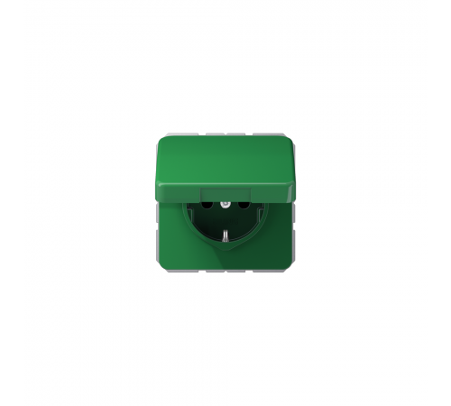 JUNG CD Розетка SCHUKO з кришкою зелений CD1520BFKLGN