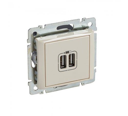 Розетка 2хUSB Legrand Valena Classic слонова кістка 774170