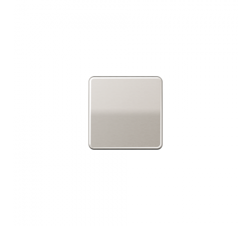 JUNG CD Клавіша для вимикача платина CD590PT