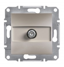 Schneider ASFORA РОЗЕТКА SAT КІНЦЕВА бронза EPH3700169