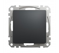 Заглушка Schneider Sedna Design чорний SDD114904