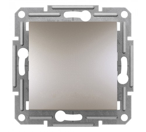 Schneider ASFORA ВИМИКАЧ ДВУХПОЛ САМОЗАЖ бронза EPH0200169