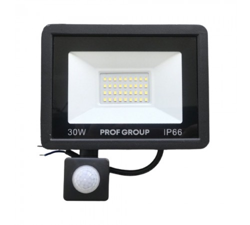 LED прожектор з датчиком руху PROFGROUP LPD-30W (PG) LED прожектор з датчиком руху PROFGROUP LPD-30W (PG)