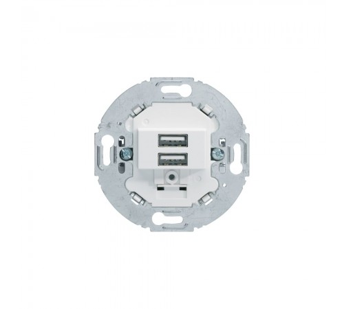 BERKER R.Classic механізм USB-розетка подвійна 230В пол.білий 260219